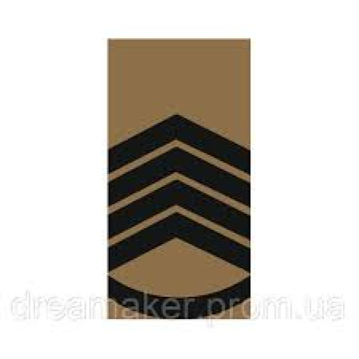 Погон койот Головний сержант ВВ