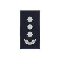 Погон Полковник  полiцii ВВ