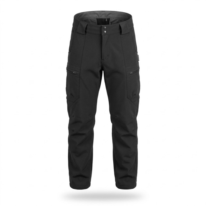 Штани SoftShell теплі чорні р.46/3 (ВВ)