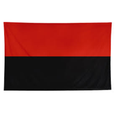 Прапор УПА