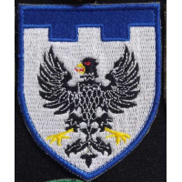 Шеврон 119 ОБР ТРО (ВВ)