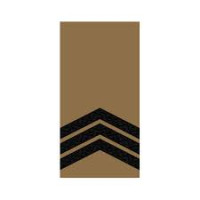 Погон койот Сержант ВВ