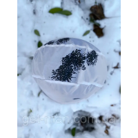 Кавер Mich зима білий