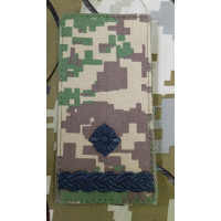 Погон хижак Майор ВВ